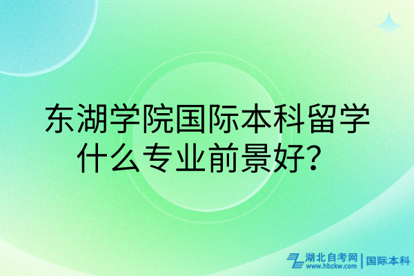 東湖學(xué)院國際本科留學(xué)什么專業(yè)前景好？