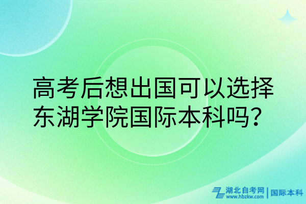 高考后想出國可以選擇東湖學(xué)院國際本科嗎？