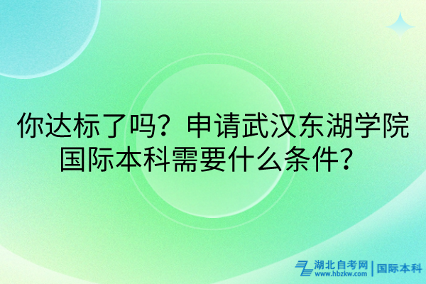 你達標了嗎？申請武漢東湖學(xué)院國際本科需要什么條件？