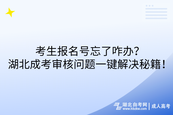 報名號忘了咋辦？湖北成考審核問題一鍵解決秘籍！