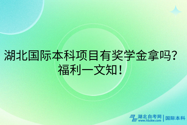 湖北國際本科項(xiàng)目有獎學(xué)金拿嗎？福利大放送！