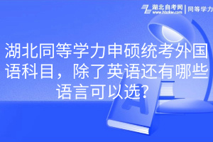 湖北同等學力申碩統(tǒng)考外國語科目，除了英語還有哪些語言可以選？