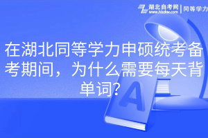 在湖北同等學(xué)力申碩統(tǒng)考備考期間，為什么需要每天背單詞？