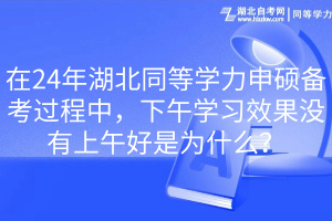 在24年湖北同等學(xué)力申碩備考過程中，下午學(xué)習(xí)效果沒有上午好是為什么？