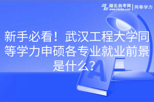 新手必看！武漢工程大學(xué)同等學(xué)力申碩各專業(yè)就業(yè)前景是什么？