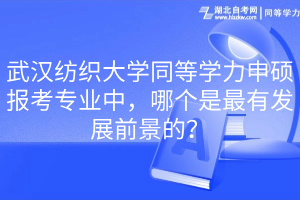 武漢紡織大學同等學力申碩報考專業(yè)中，哪個是最有發(fā)展前景的？