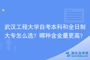 武漢工程大學(xué)自考本科和全日制大專怎么選？哪種含金量更高？