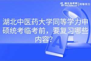 湖北中醫(yī)藥大學(xué)同等學(xué)力申碩統(tǒng)考臨考前，要復(fù)習(xí)哪些內(nèi)容？