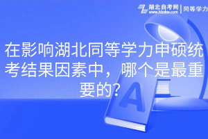 在影響湖北同等學力申碩統(tǒng)考結(jié)果因素中，哪個是最重要的？