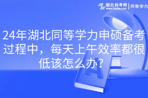 24年湖北同等學力申碩備考過程中，每天上午效率都很低該怎么辦？