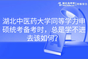 湖北中醫(yī)藥大學同等學力申碩統(tǒng)考備考時，總是學不進去該如何？