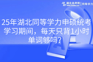 25年湖北同等學(xué)力申碩統(tǒng)考學(xué)習(xí)期間，每天只背1小時單詞夠嗎？