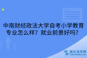 中南財(cái)經(jīng)政法大學(xué)自考小學(xué)教育專業(yè)怎么樣？就業(yè)前景好嗎？