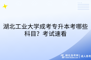 湖北工業(yè)大學(xué)成考專升本考哪些科目？考試速看