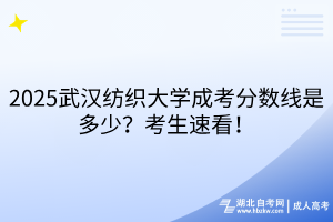 2025武漢紡織大學(xué)成考分?jǐn)?shù)線是多少？考生速看！