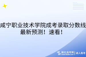 咸寧職業(yè)技術(shù)學(xué)院成考錄取分?jǐn)?shù)線最新預(yù)測！速看！