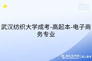 武漢紡織大學成考-高起本-電子商務專業(yè)