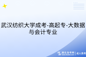 武漢紡織大學成考-高起專-大數(shù)據(jù)與會計專業(yè)