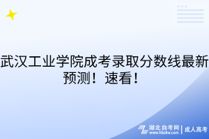 武漢工業(yè)學(xué)院成考錄取分?jǐn)?shù)線最新預(yù)測！速看！