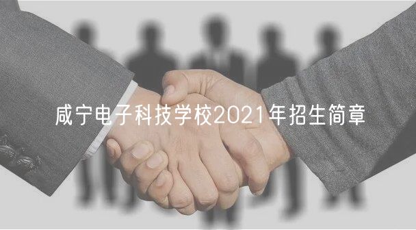 咸寧電子科技學(xué)校2021年招生簡(jiǎn)章