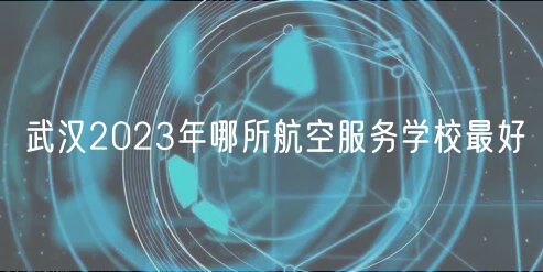 武漢2023年哪所航空服務學校最好