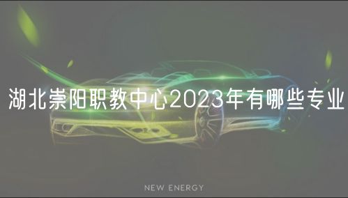 湖北崇陽(yáng)職教中心2023年有哪些專業(yè)