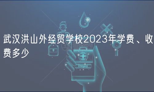 武漢洪山外經(jīng)貿(mào)學校2023年學費、收費多少