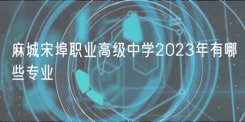 麻城宋埠職業(yè)高級(jí)中學(xué)2023年有哪些專業(yè)