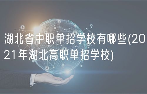 湖北省中職單招學(xué)校有哪些(2021年湖北高職單招學(xué)校)