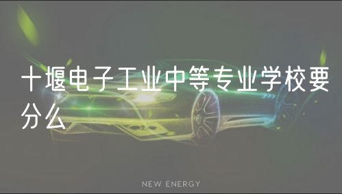 十堰電子工業(yè)中等專業(yè)學(xué)校要分么