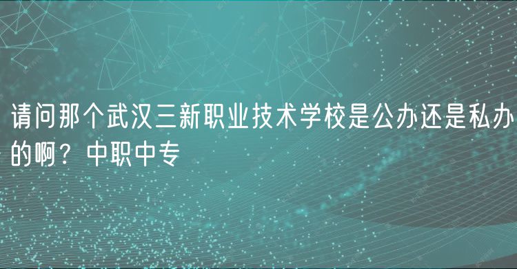 請問那個武漢三新職業(yè)技術學校是公辦還是私辦的??？中職中專