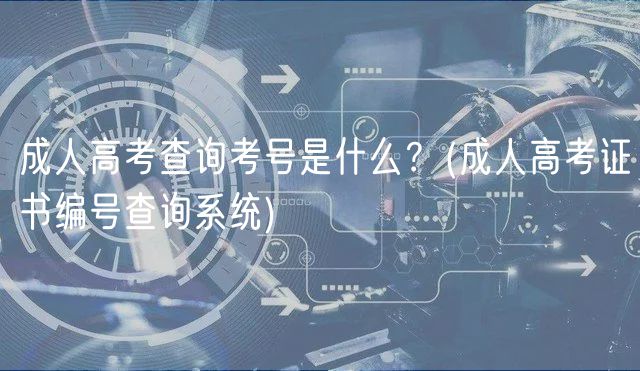 成人高考查詢考號是什么？(成人高考證書編號查詢系統(tǒng))