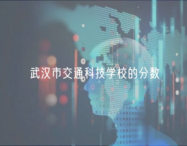 武漢市交通科技學(xué)校的分?jǐn)?shù)