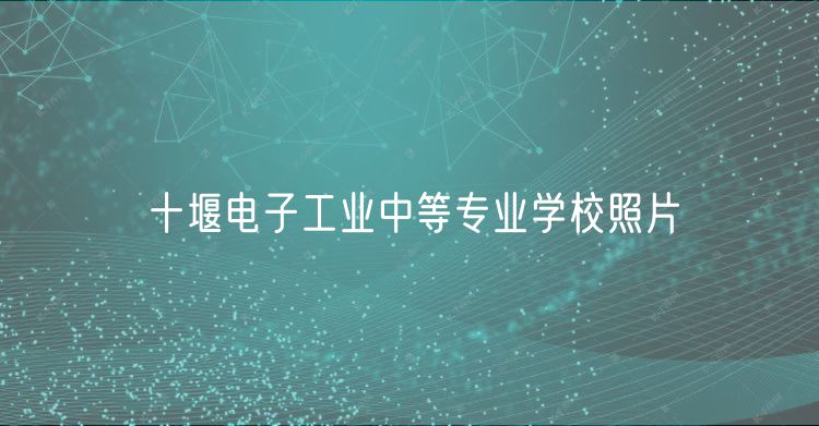 十堰電子工業(yè)中等專業(yè)學校照片