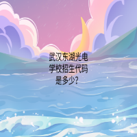 武漢東湖光電學校招生代碼是多少？