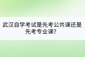 武漢自學(xué)考試是先考公共課還是先考專業(yè)課？