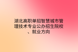 湖北高職單招智慧城市管理技術(shù)專業(yè)公辦招生院校、就業(yè)方向