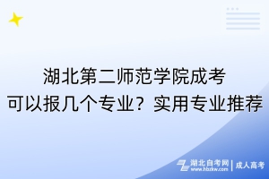 湖北第二師范學(xué)院成考可以報(bào)幾個(gè)專業(yè)？實(shí)用專業(yè)推薦