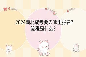 2024湖北成考要去哪里報(bào)名?流程是什么？