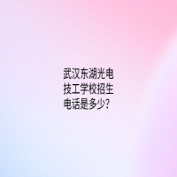 武漢東湖光電技工學校招生電話是多少？