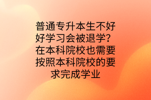 普通專升本生不好好學習會被退學？在本科院校也需要按照本科院校的要求完成學業(yè)