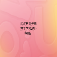 武漢東湖光電技工學校地址在哪？