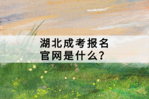 湖北成考報(bào)名官網(wǎng)是什么？