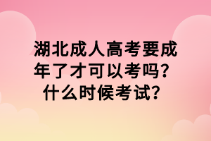 湖北成人高考要成年了才可以考嗎？什么時(shí)候考試？