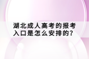 湖北成人高考的報考入口是怎么安排的？