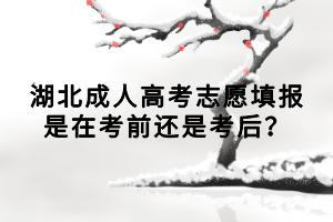 湖北成人高考志愿填報(bào)是在考前還是考后？