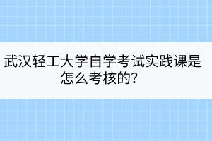 武漢輕工大學(xué)自學(xué)考試實(shí)踐課是怎么考核的？