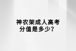 神農(nóng)架成人高考分值是多少？