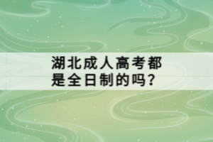 湖北成人高考都是全日制的嗎？