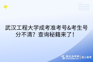 武漢工程大學成考準考號&考生號分不清？查詢秘籍來了！